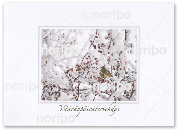 Bird, greenfinch, sits on a snowy twig full of red berries. Around and behind there are more snowy twigs with red berries.